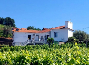 Casa Cecí Douro